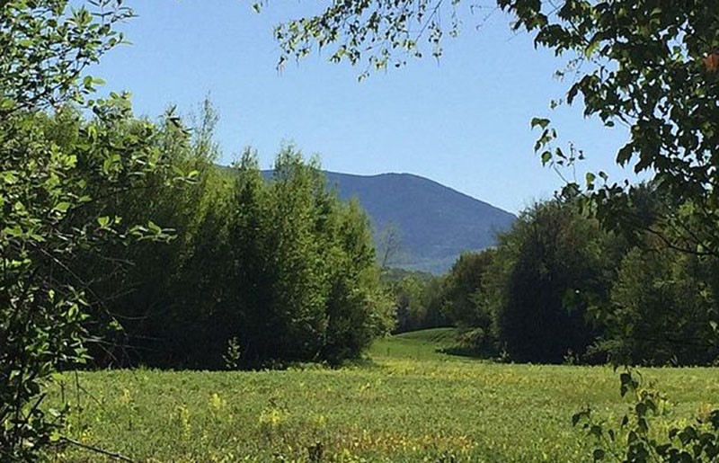 Salisbury, VT
